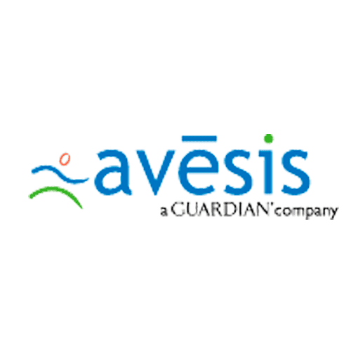 Avesis Vision