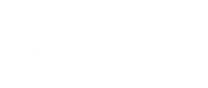 Trusted Choice Logo